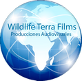 blog wildlife terra films